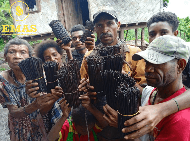 komunitas petani vanilla indonesia
